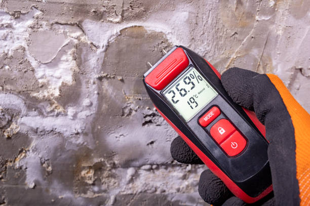 Water Damage Restoration in Portsmouth, VA