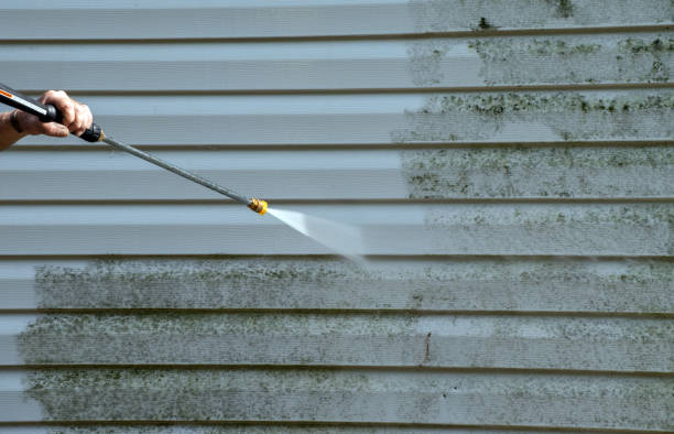 Best Attic Mold Removal  in Portsmouth, VA