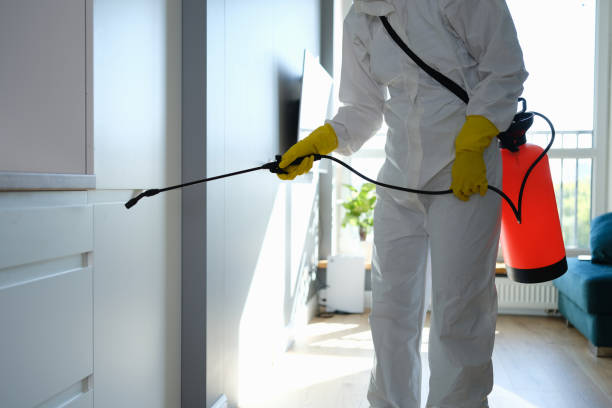 Best Office Mold Removal Services  in Portsmouth, VA