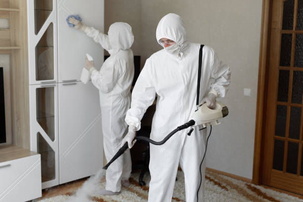 Best Black Mold Removal  in Portsmouth, VA
