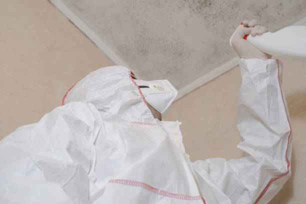 Best Residential Mold Removal  in Portsmouth, VA